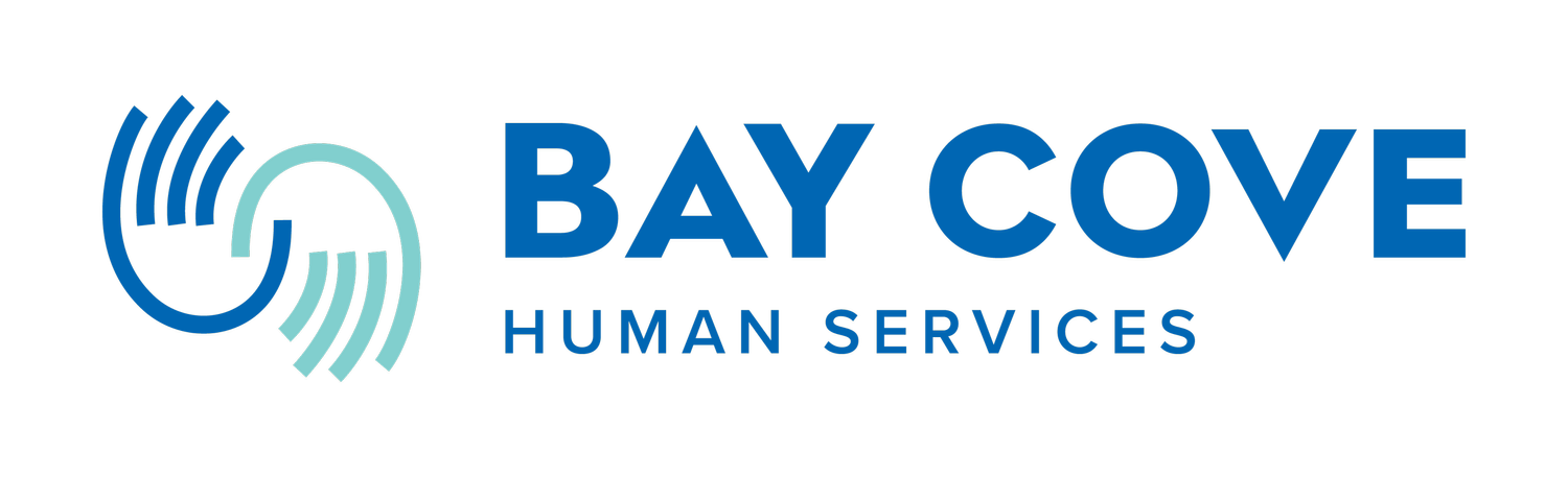 BayCove-horizlogo_primary.png